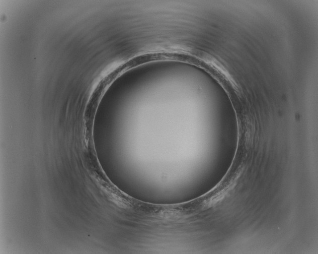 X0000075860974200609221751