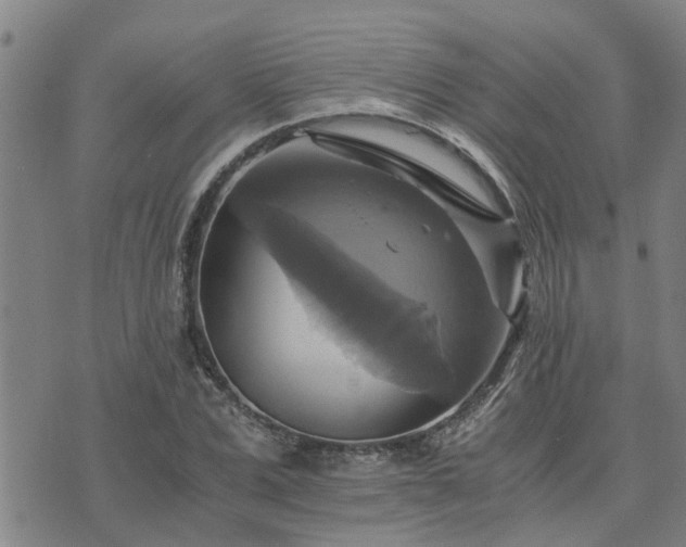 X0000075860975200609221751