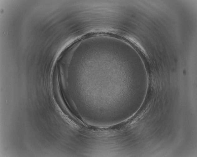 X0000075860976200609221751