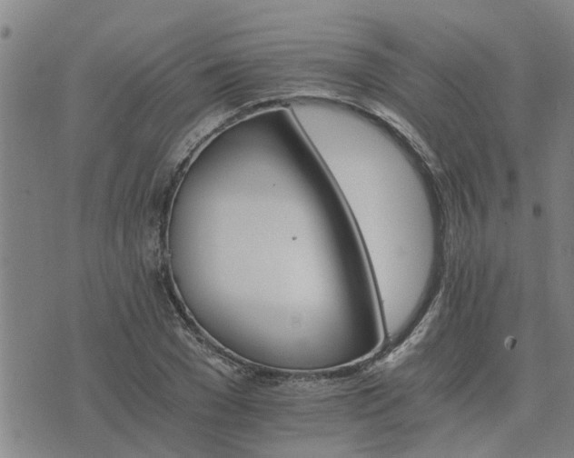 X0000075860977200609221751