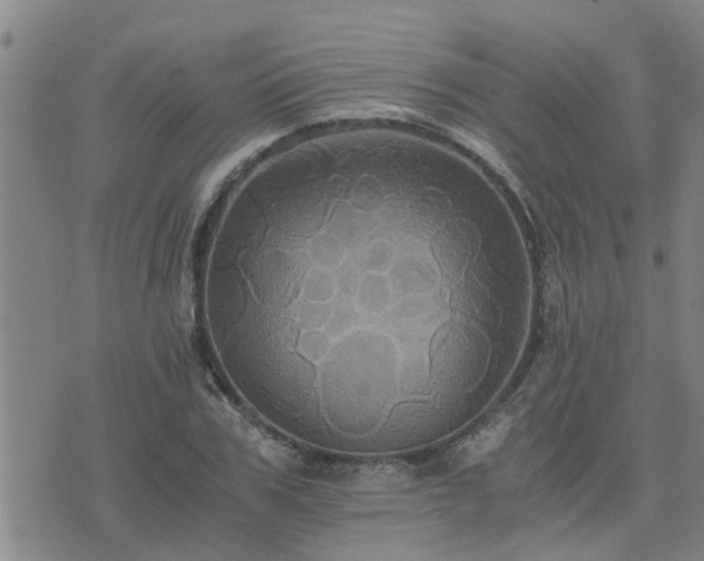 X0000075860979200609221751