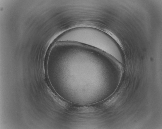 X0000075860980200609221751