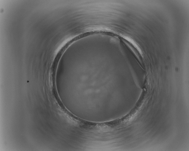 X0000075860983200609221751