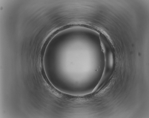 X0000075860984200609221751