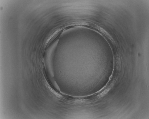 X0000075860985200609221751