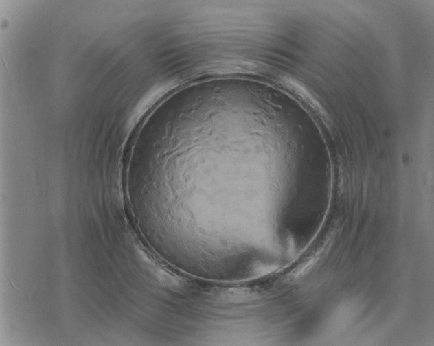 X0000075860986200609221751