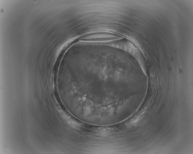 X0000075860987200609221751