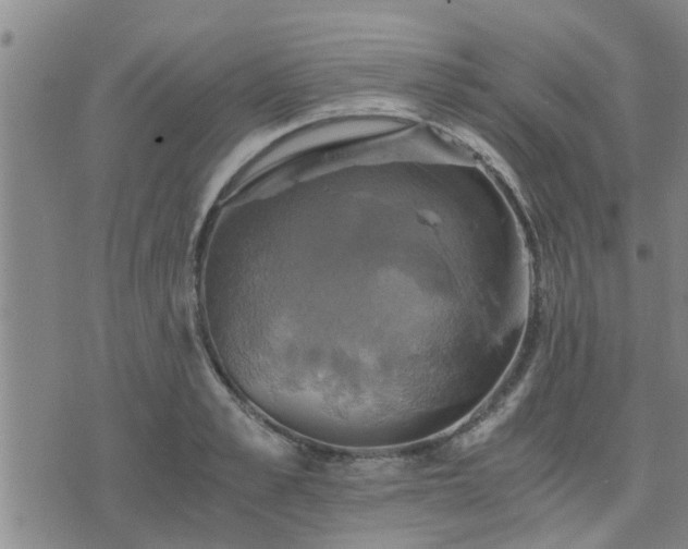 X0000075860989200609221751