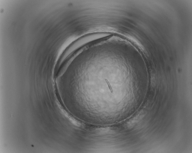 X0000075860990200609221751