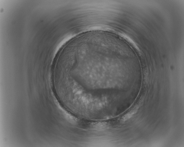 X0000075860991200609221751