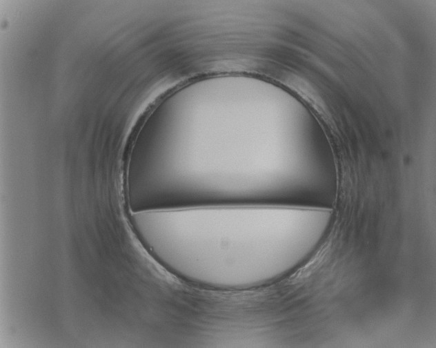 X0000075860992200609221751