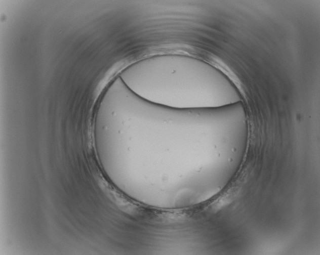 X0000075860994200609221751