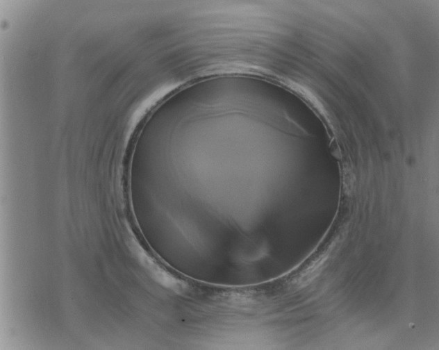 X0000075860995200609221751