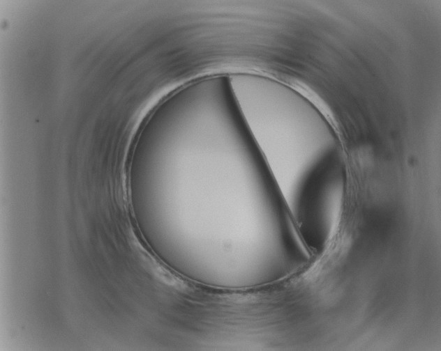 X0000075860996200609221751