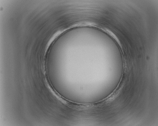 X0000075860997200609221751