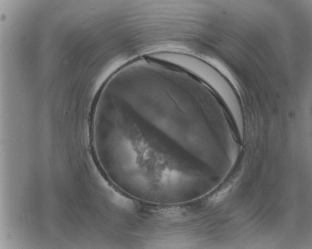 X0000075860999200609221751