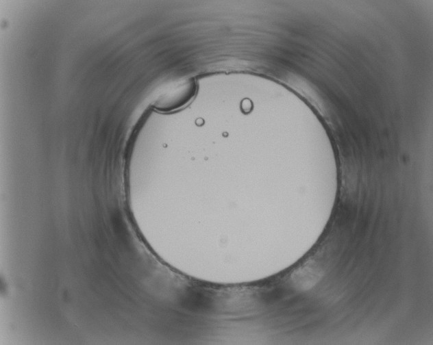 X0000075861000200609221751