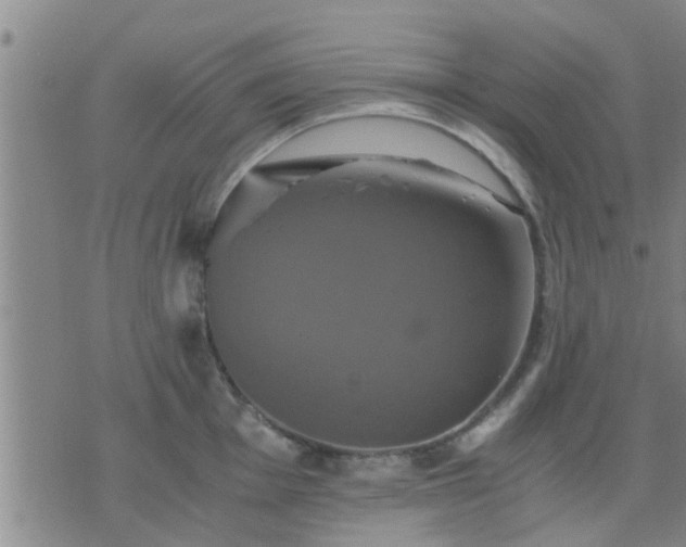 X0000075861001200609221751