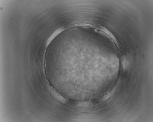 X0000075861002200609221751