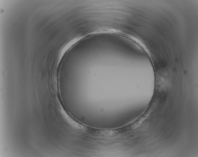 X0000075861003200609221751