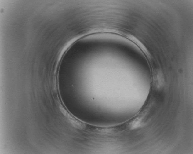 X0000075861004200609221751