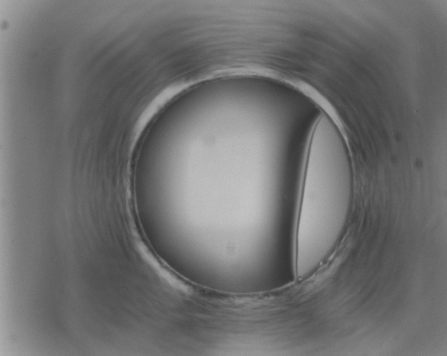 X0000075861005200609221751