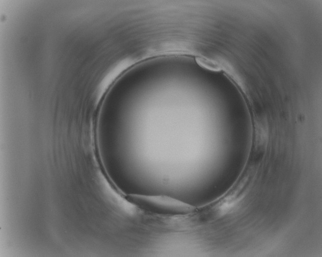 X0000075861006200609221751