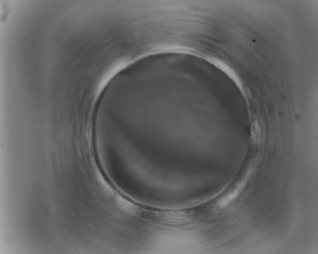 X0000075861007200609221751