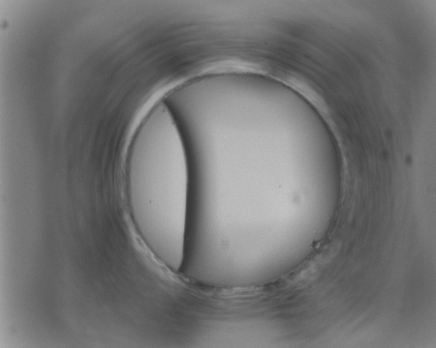 X0000075861008200609221751