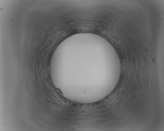 X0000075861009200609221750