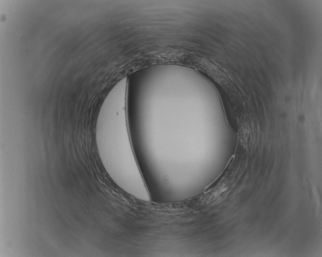 X0000075861010200609221750