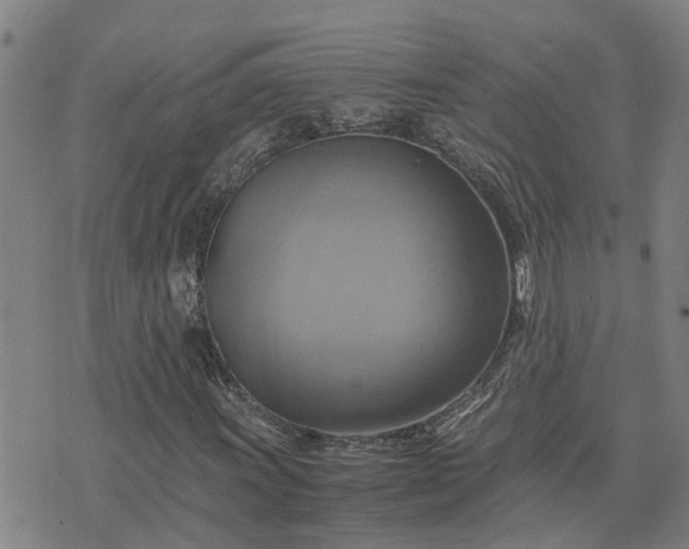 X0000075861011200609221750