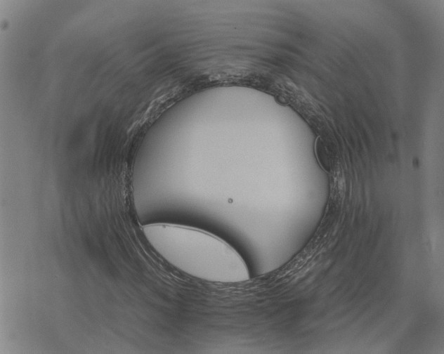 X0000075861012200609221750