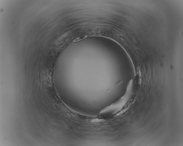 X0000075861013200609221750