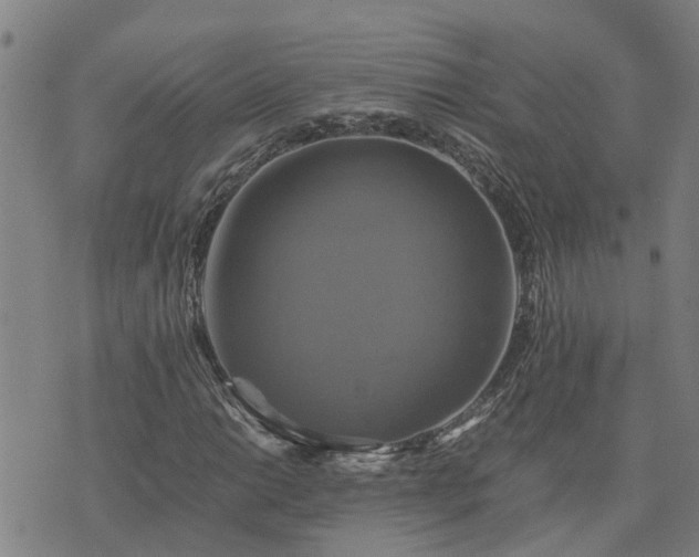 X0000075861014200609221750