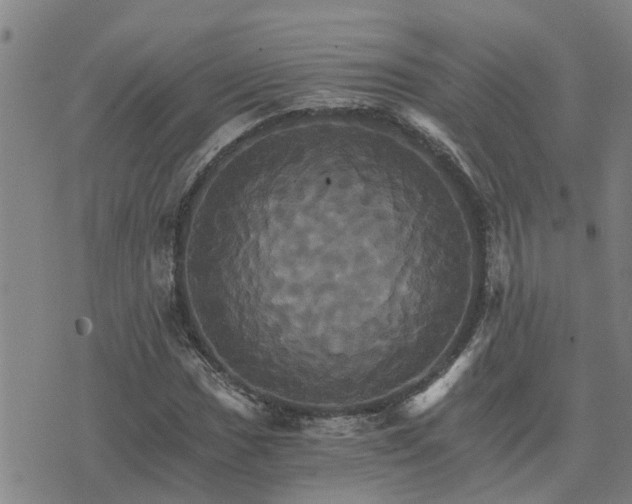 X0000075861017200609221750