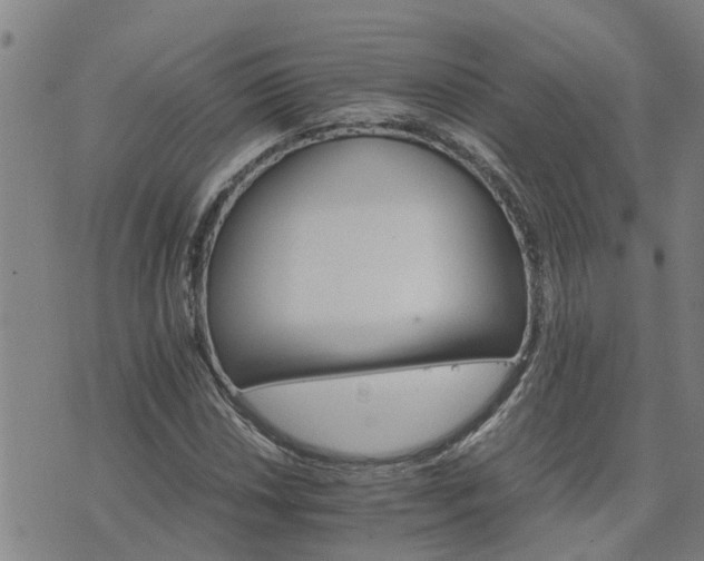 X0000075861018200609221750