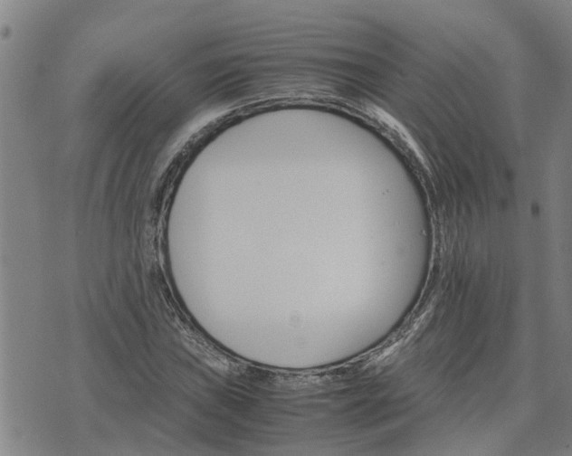 X0000075861019200609221750