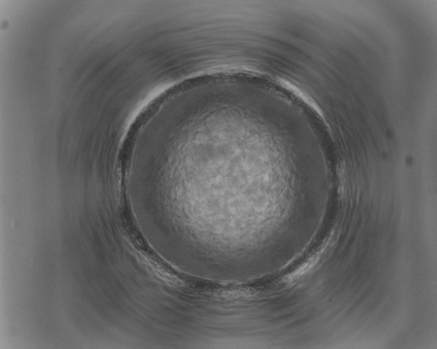 X0000075861021200609221750