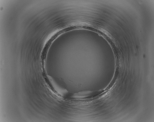 X0000075861022200609221750