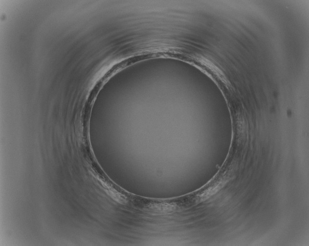 X0000075861023200609221750