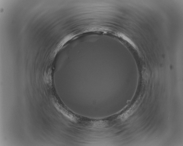 X0000075861025200609221750