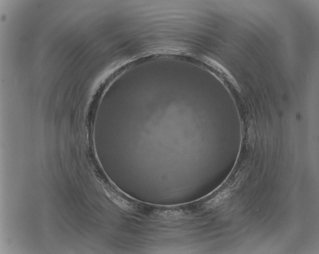 X0000075861027200609221750