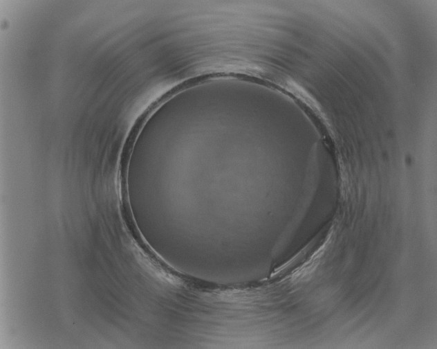 X0000075861028200609221750