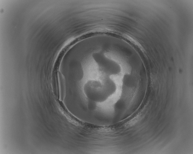 X0000075861029200609221750