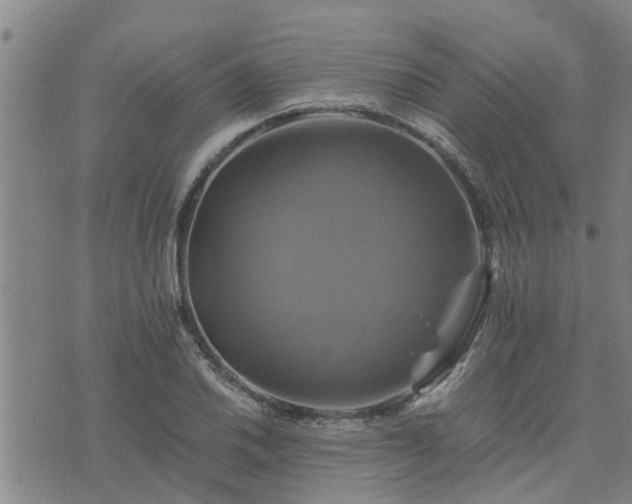 X0000075861030200609221750