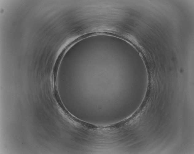 X0000075861032200609221750