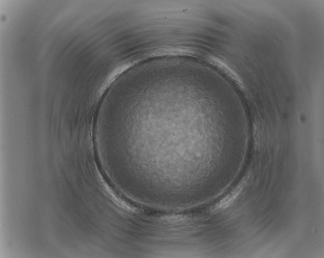 X0000075861033200609221750