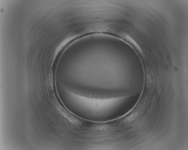 X0000075861035200609221750