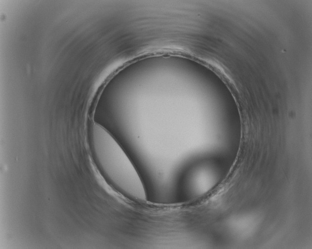 X0000075861038200609221750